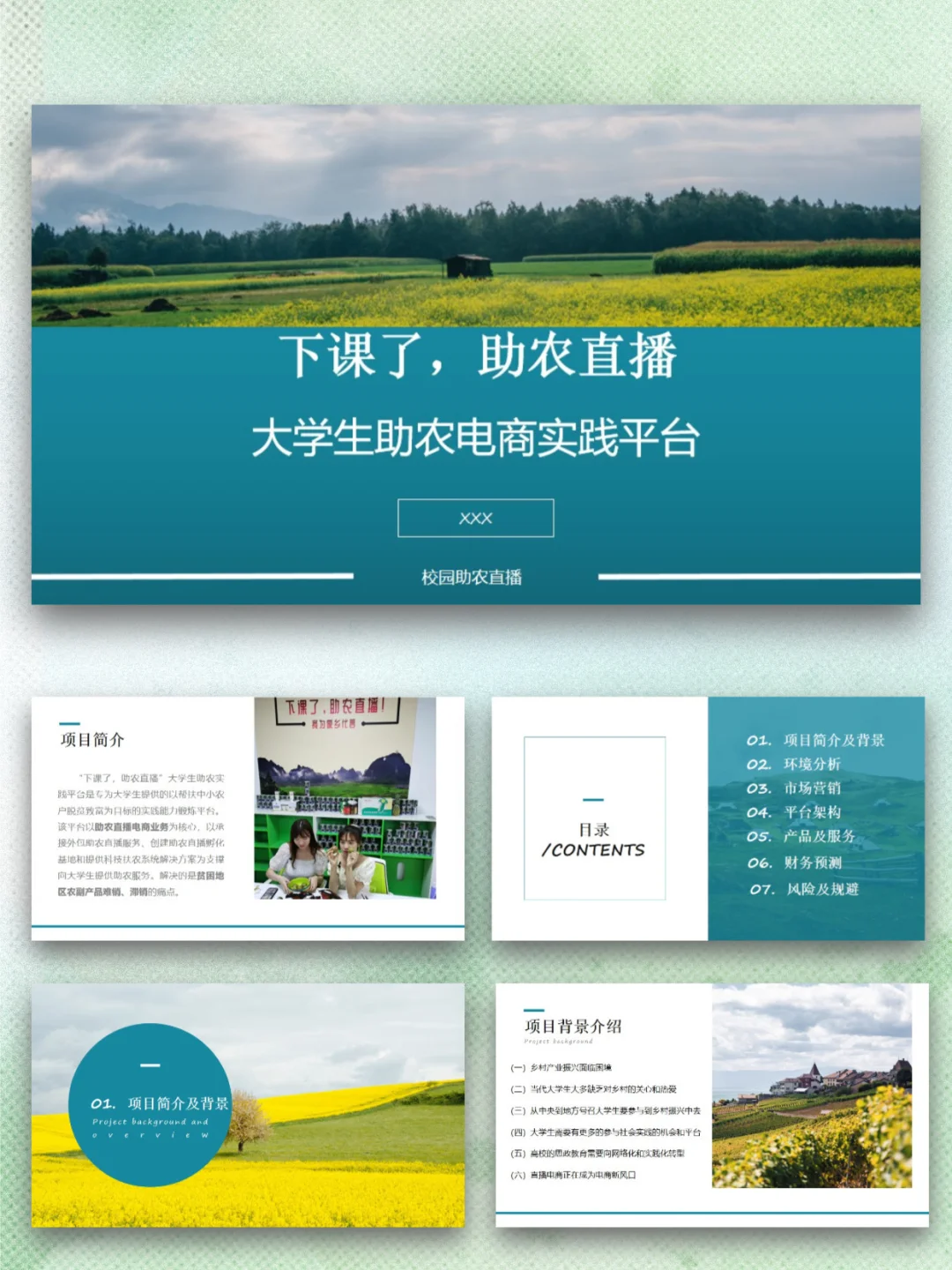 大学生助农电商实践平台创业计划书ppt+Word