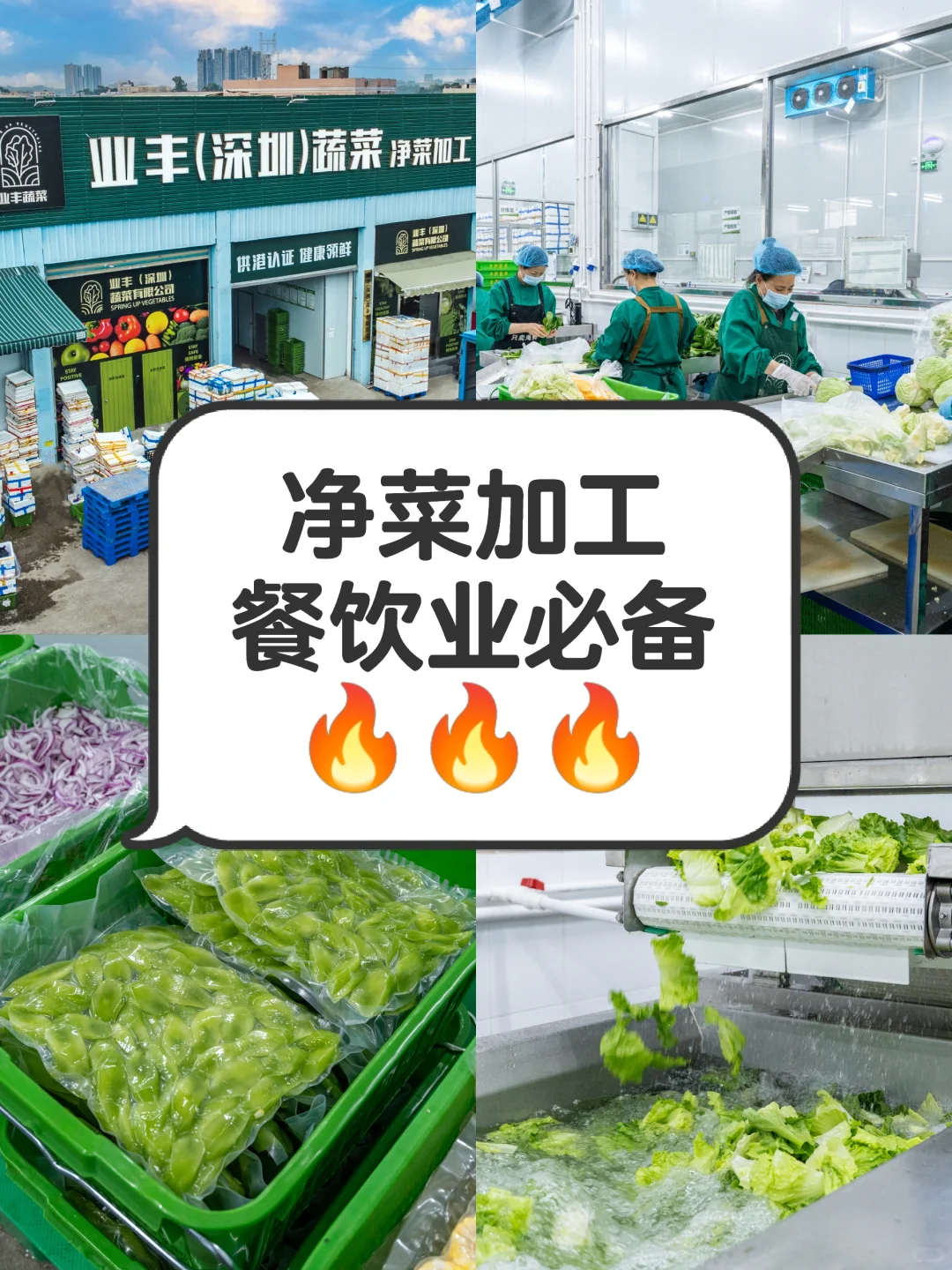 别再靠人工备菜了！净菜加工了解一下！?