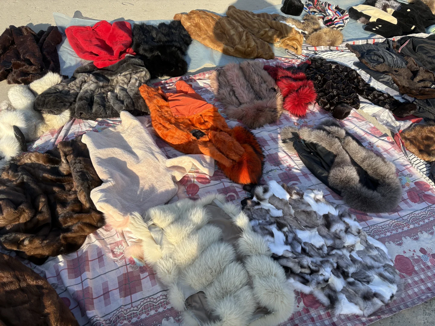 看一下皮草源头基地，全部皮草产品。