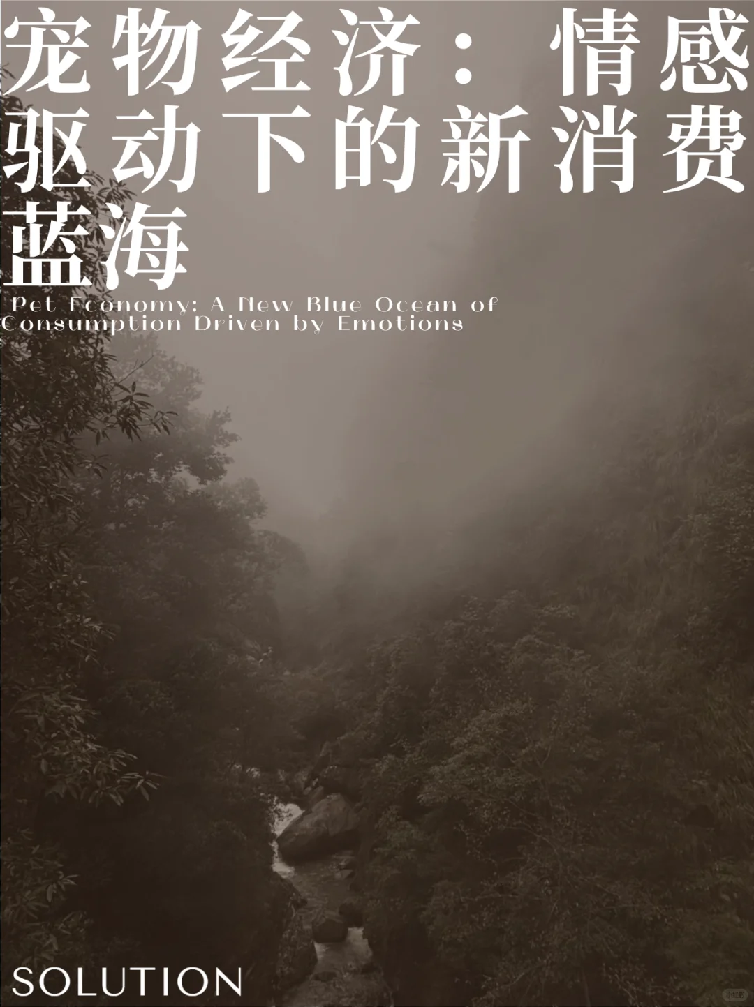 宠物经济：情感驱动下的新消费蓝海