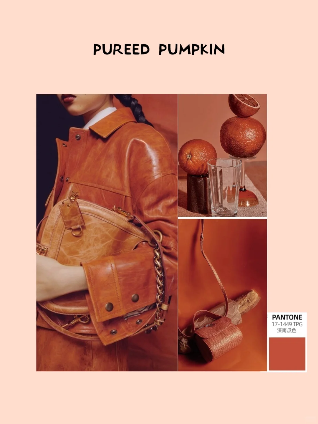 色彩审美提升?一起学配色，秋冬色彩趋势