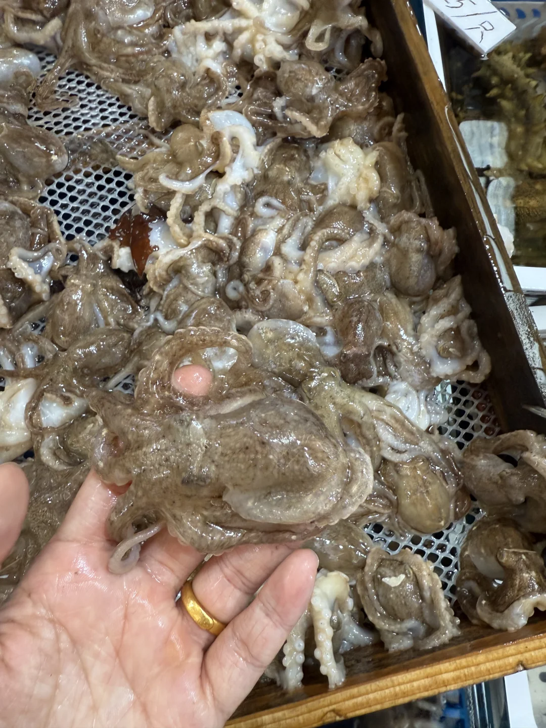 青岛海鲜最肥的季节｜海鲜加工最全攻略来喽