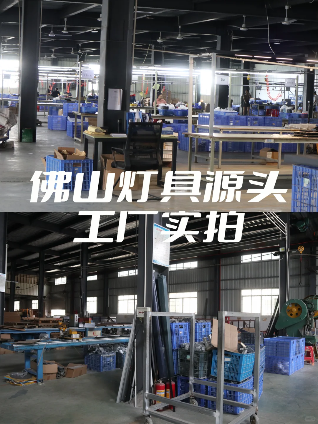 ✨ 晨曦照明|终于等到你~还好我没放弃~