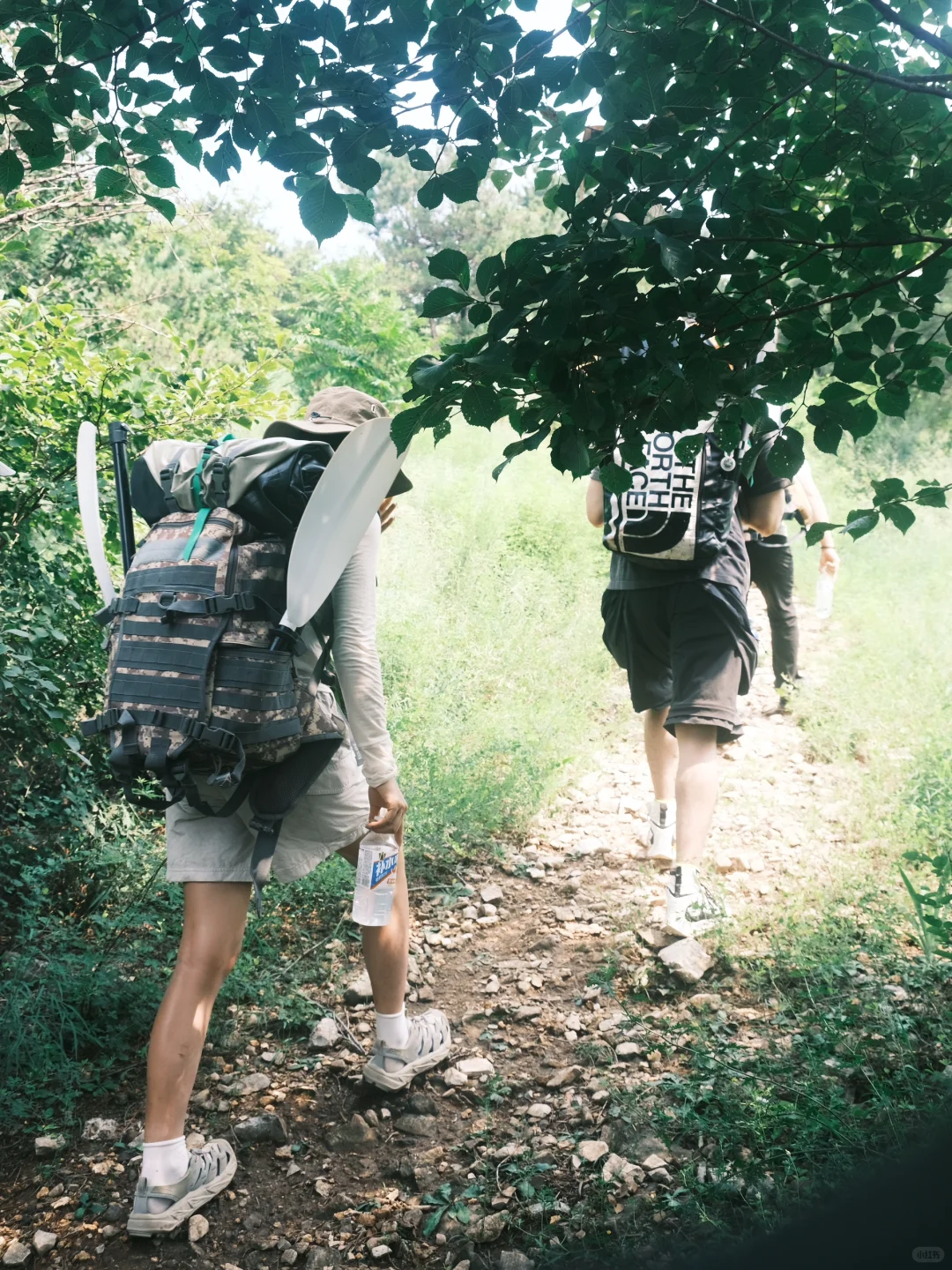 上山了 没下雨 热化了?
