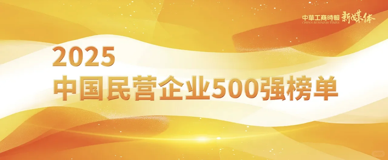 2025中国民营企业500强榜单