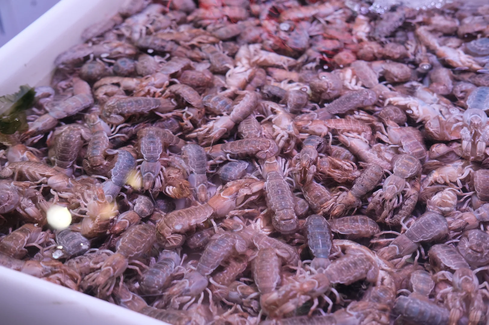 桃源市场·大连记录?