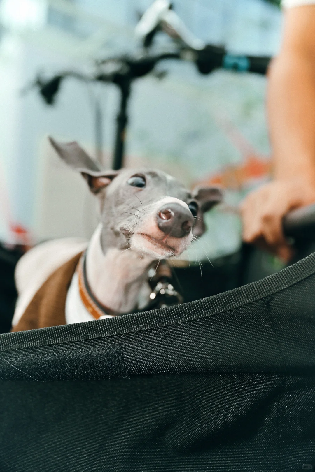 ATMOSE Cargo Hub开业爆了！现场图直出，速来