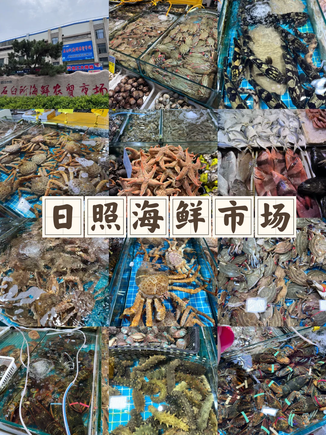 日照石臼海鲜市场｜本地人带路防坑指南