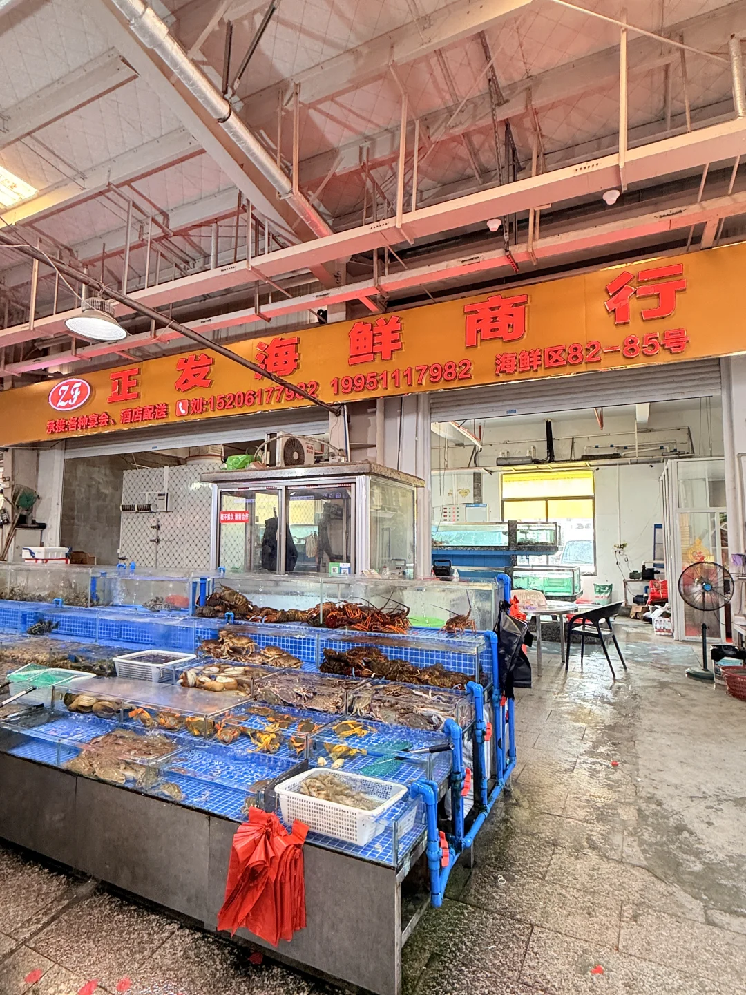 苏州南环桥｜探索海鲜采买加工一条龙（攻略）