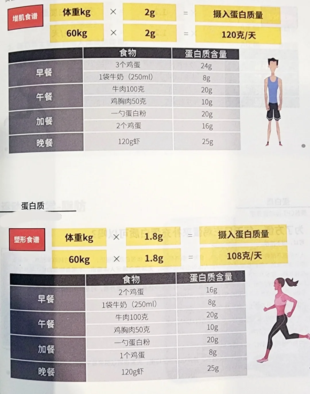 自存 健身补剂推荐