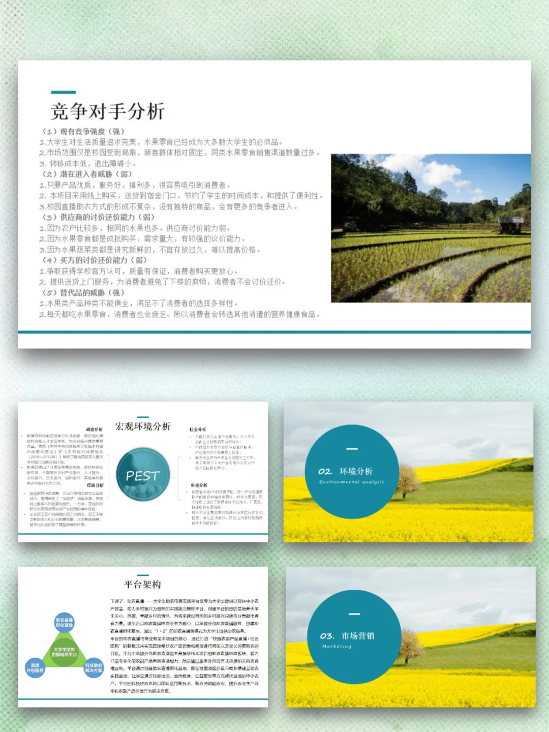 大学生助农电商实践平台创业计划书ppt+Word