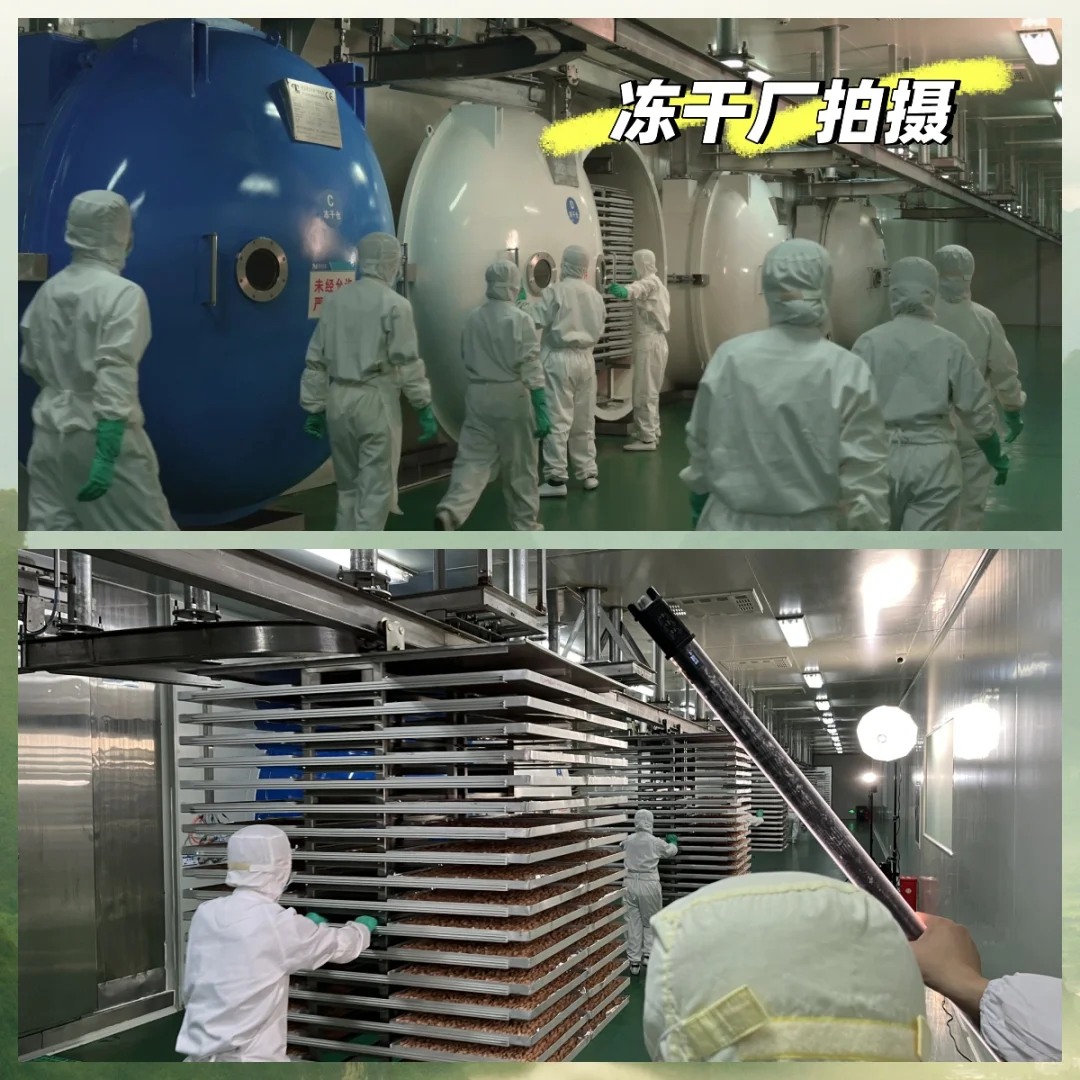冻干厂拍摄