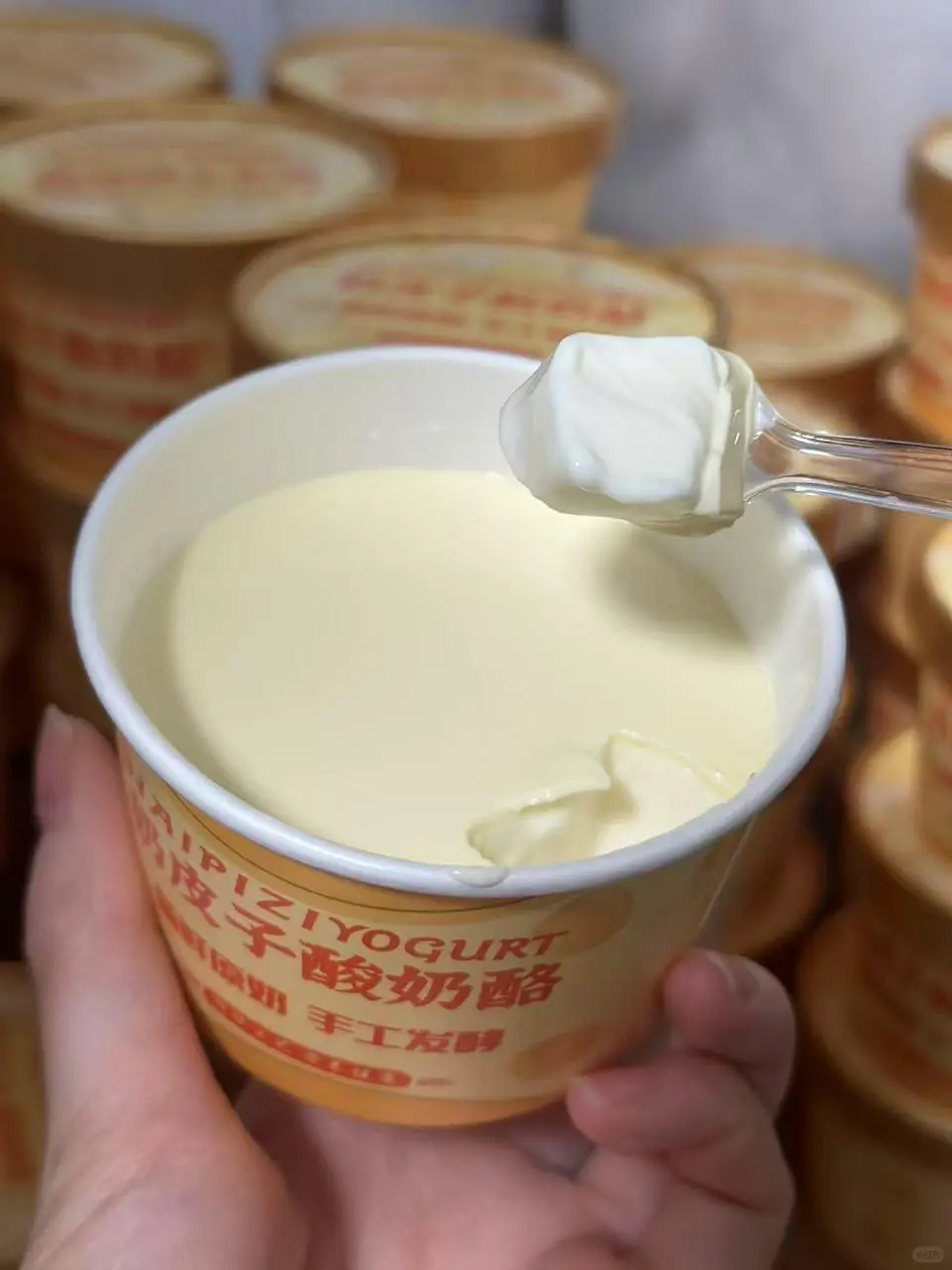 奶皮子酸奶生产线冷萃酸奶加工设备