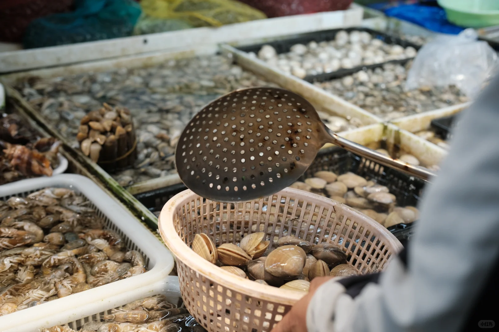 桃源市场·大连记录?