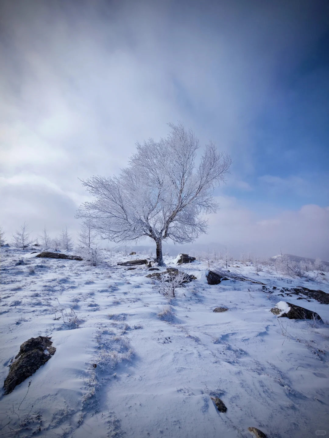 ?核心竞争力✨? 核心竞争力,简单来说,