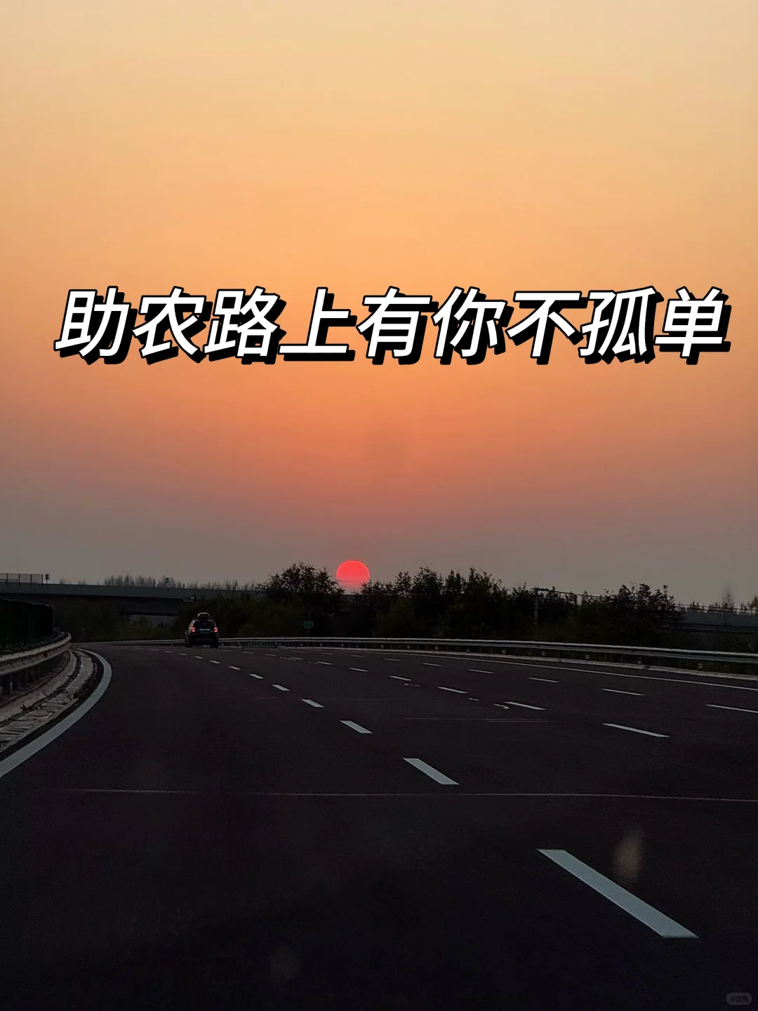 寻私域助农推荐官