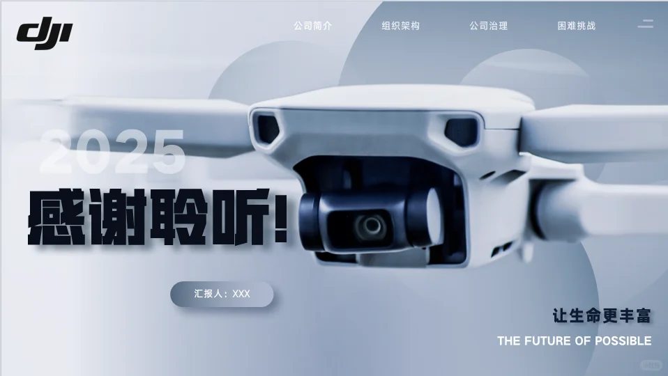 大疆创新企业分析17页