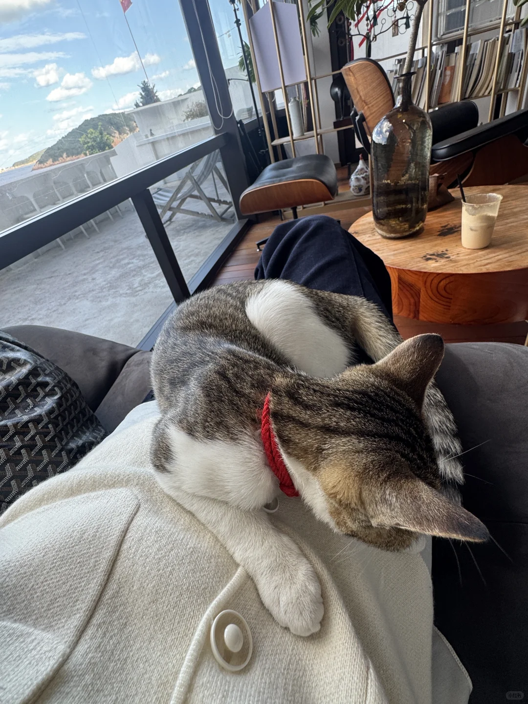 10月底淡季来舟山真的很爽！！！