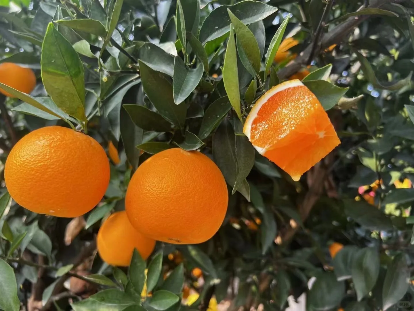 助农我们在行动