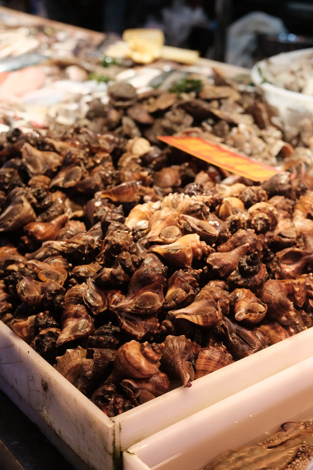 桃源市场·大连记录?