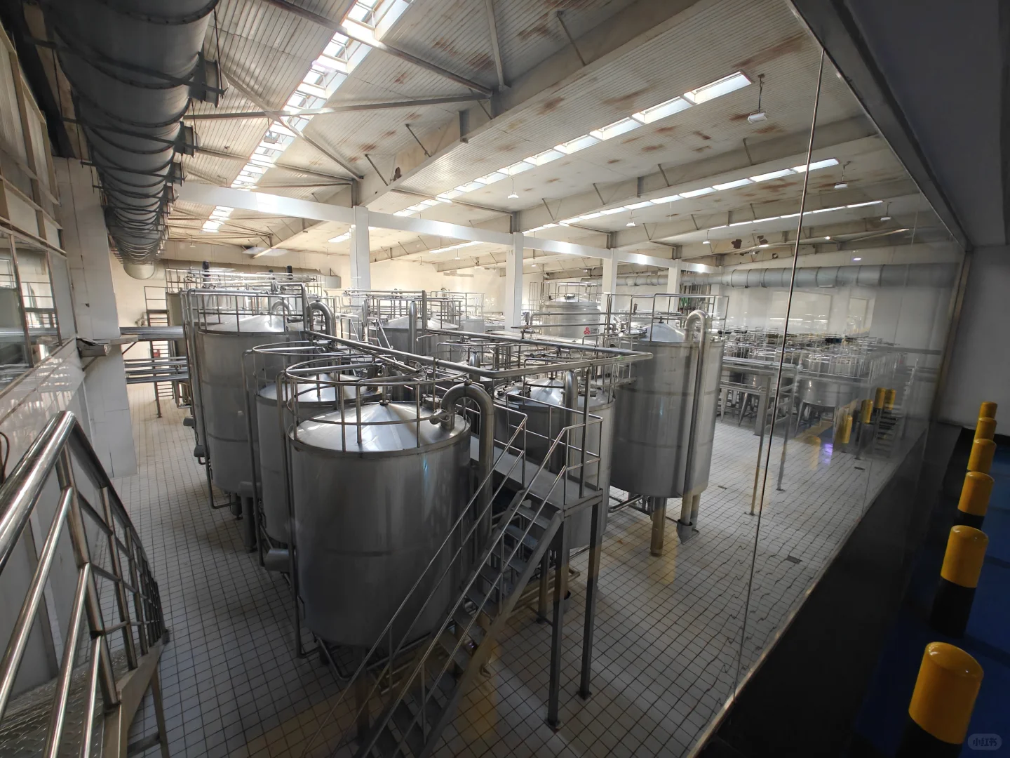 科普教育！原来我们喝的牛奶是这样来的！