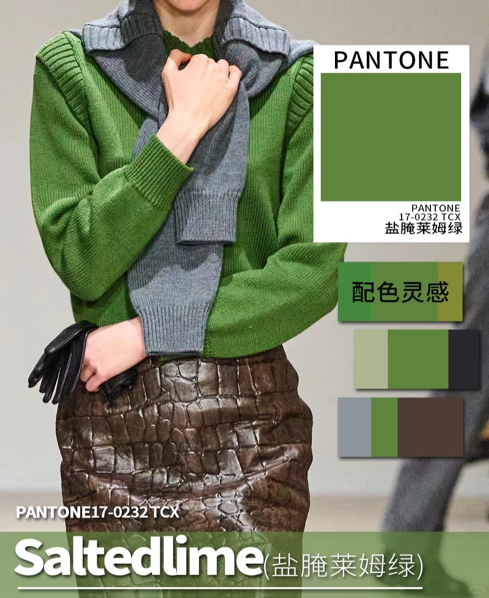 色彩趋势｜2025/2026 AW色彩流行趋势！