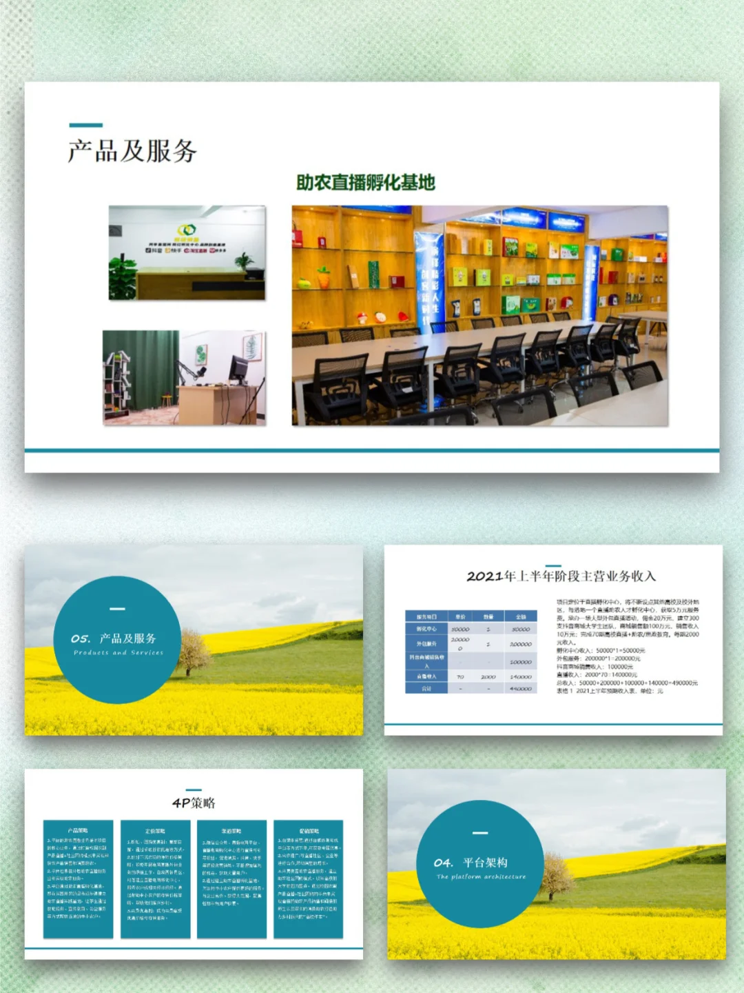 大学生助农电商实践平台创业计划书ppt+Word