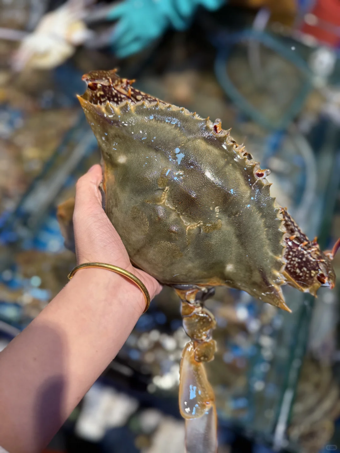 青岛海鲜最肥的季节来啦～海鲜加工最全攻略！
