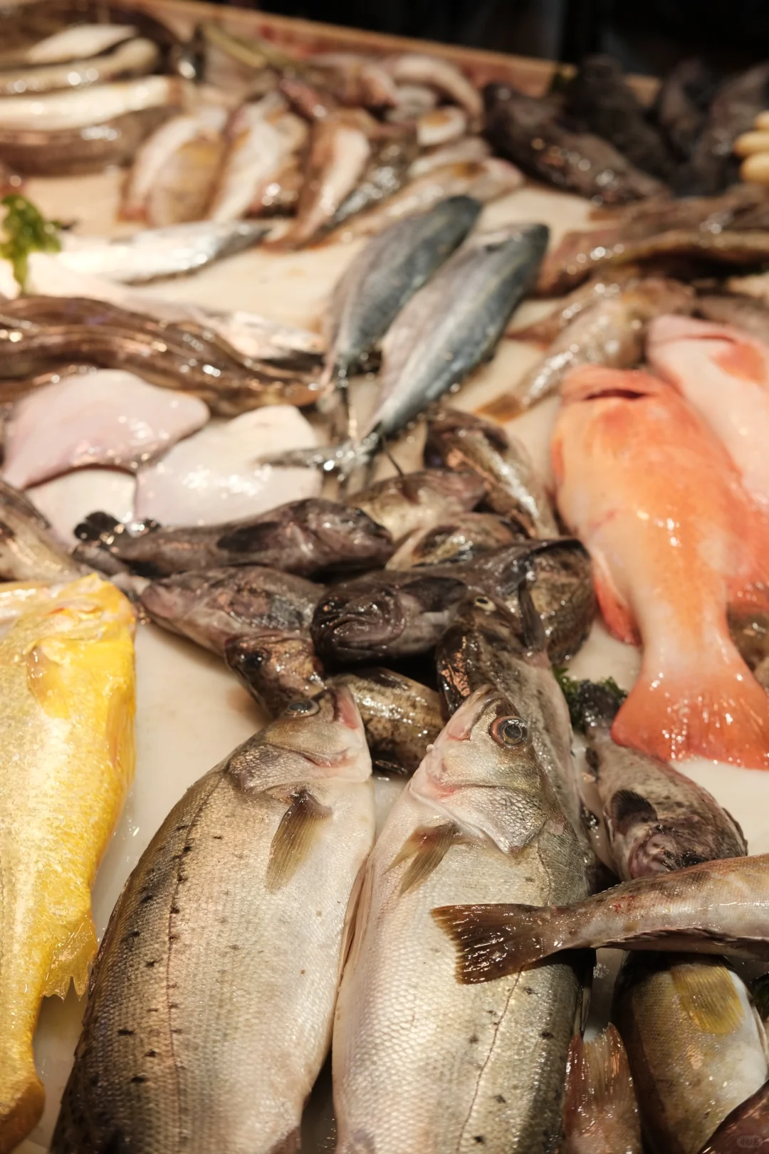 桃源市场·大连记录?