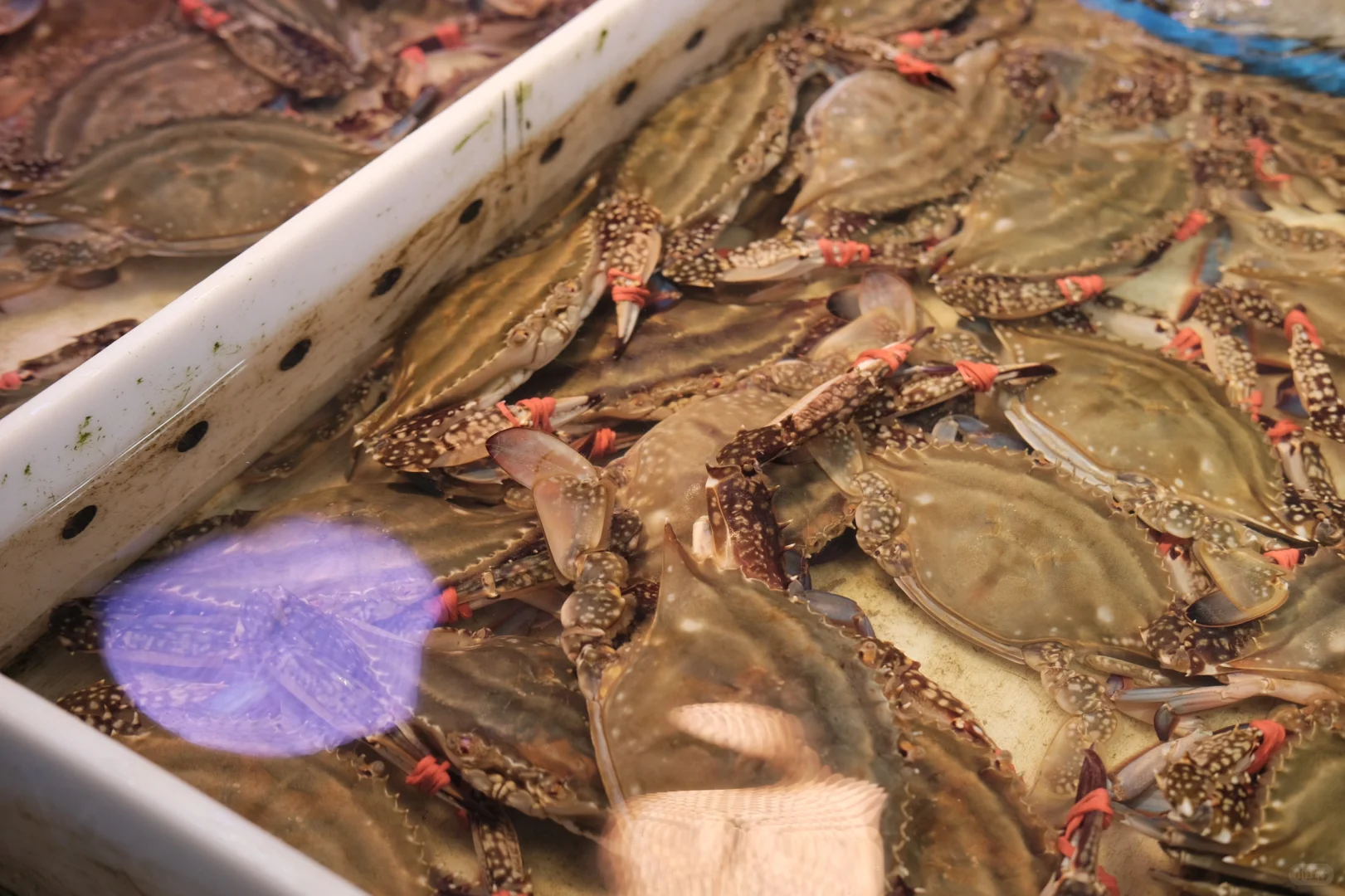 桃源市场·大连记录?