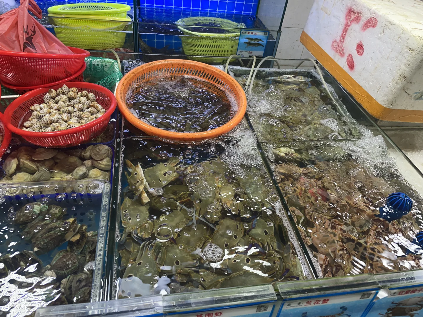 三亚海鲜市场买海鲜体验