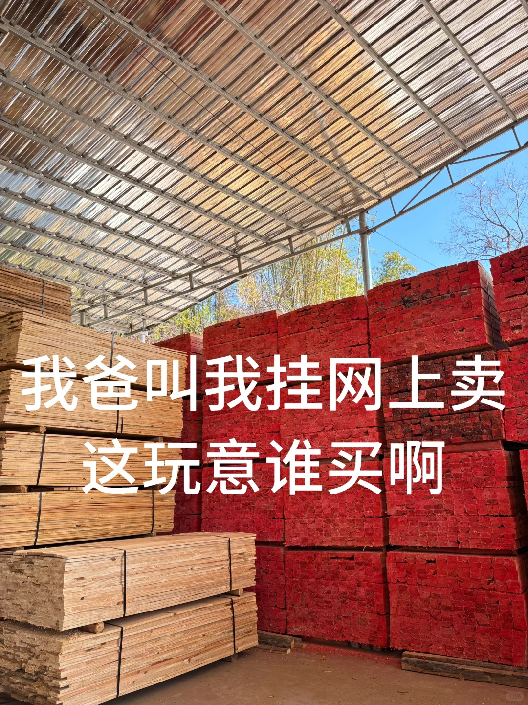 我爸非叫我挂网上 谁要啊