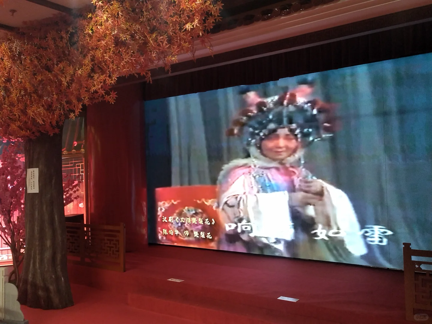 传统戏曲文化的宣扬和传承