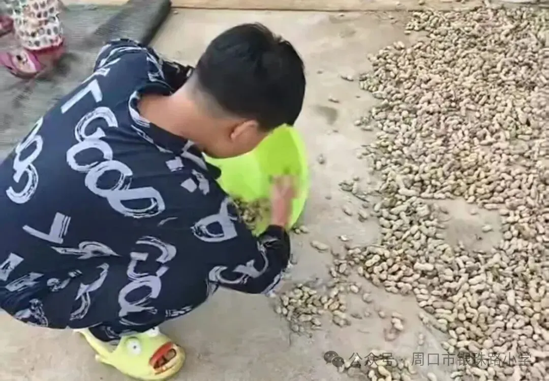 【劳动绘双节，文化传承伴成长】