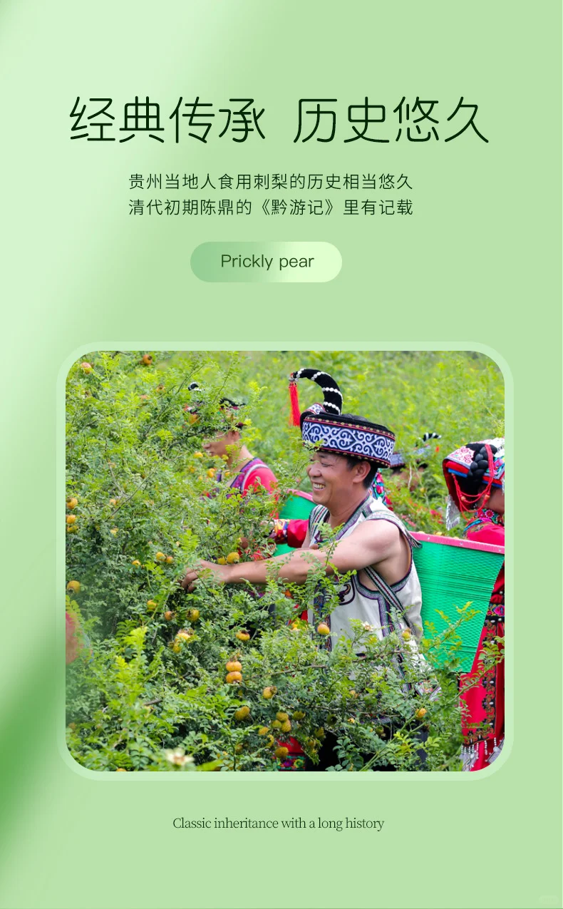 “维 C 黄金液”之刺梨