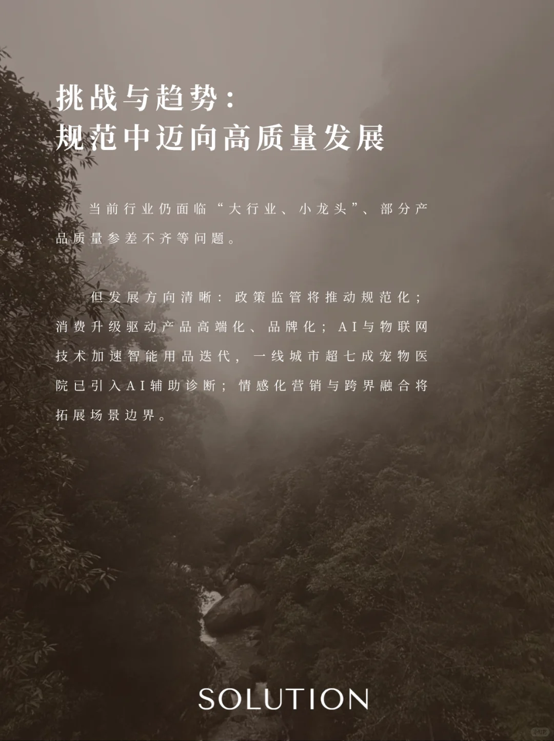 宠物经济：情感驱动下的新消费蓝海