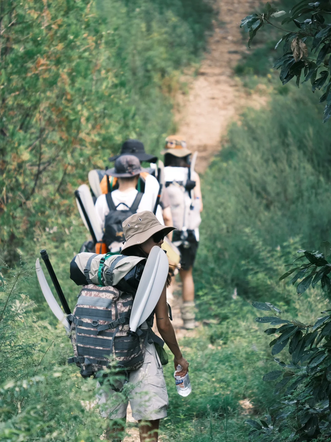 上山了 没下雨 热化了?
