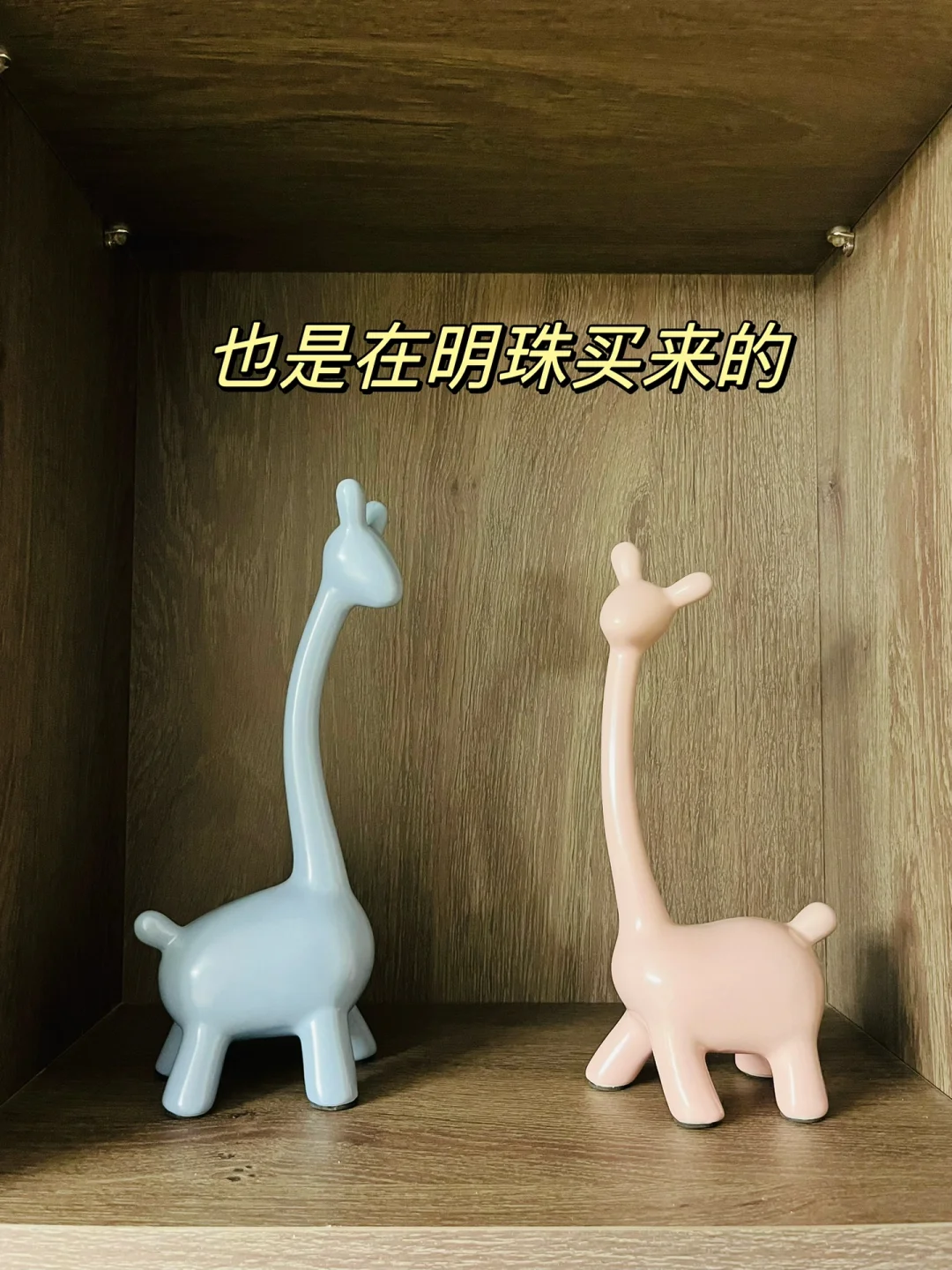 周末之【沧州明珠商贸批发城——小商品区】