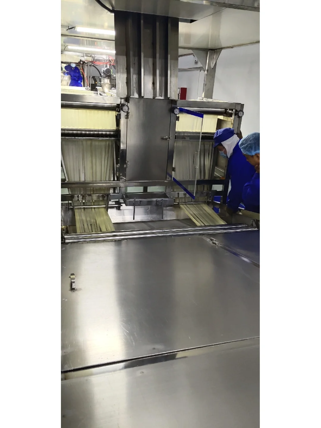 面皮生产加工、全智能精密面皮生产流水线