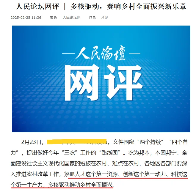 人民网评?乡村振兴高分素材