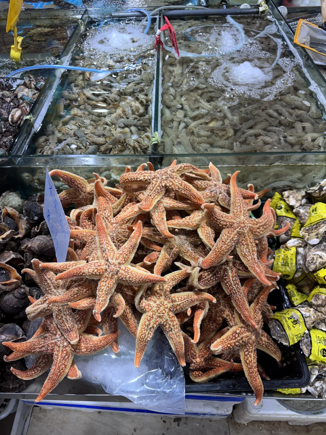 日照石臼海鲜市场｜本地人带路防坑指南