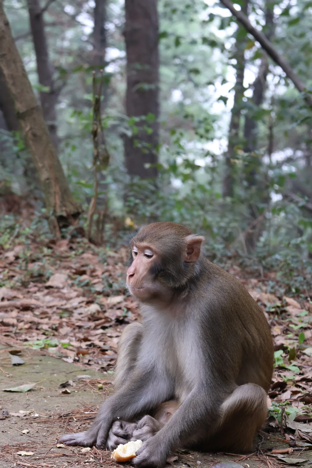 开启徒步新副本之苏州旺山