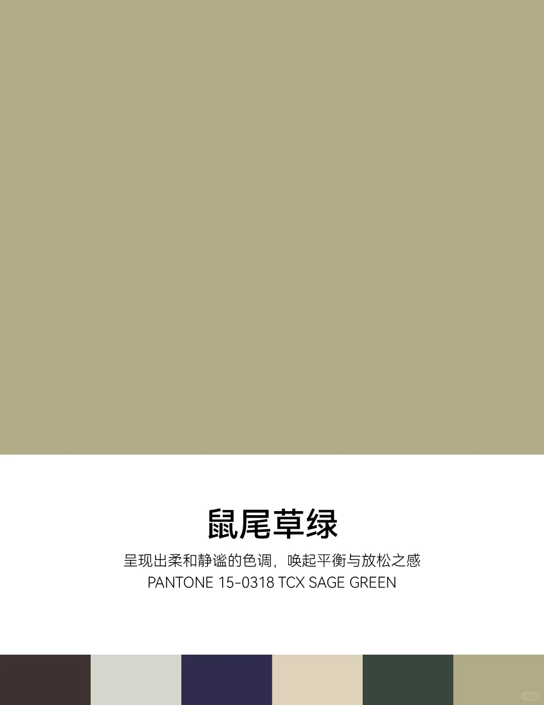 2026春夏纽约时装周PANTONE明装流行色