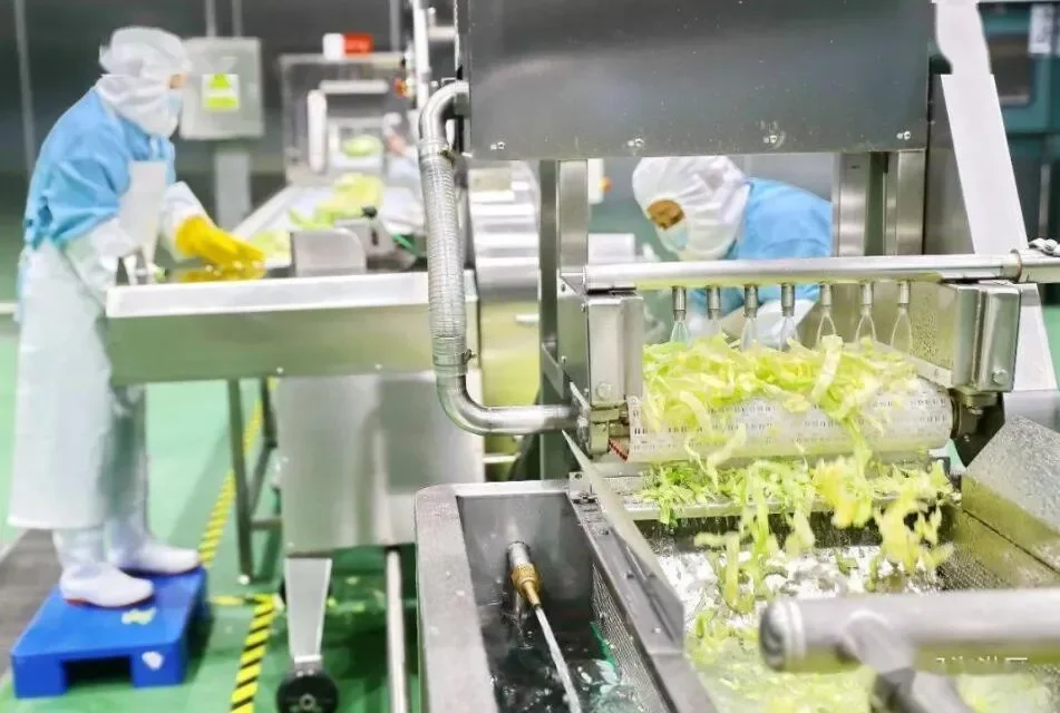 预制菜产业设备：科技赋能重塑美食生产链