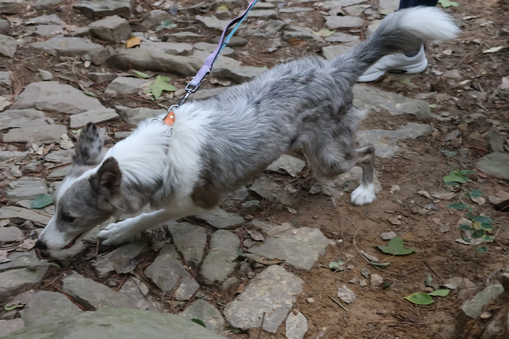 开启徒步新副本之苏州旺山