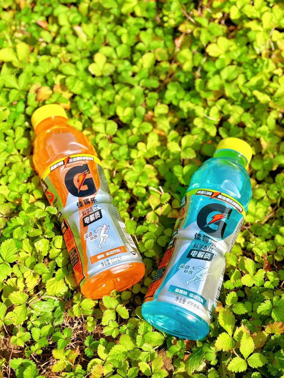 秋冬备赛马拉松｜一起“卷”出PB新高度！