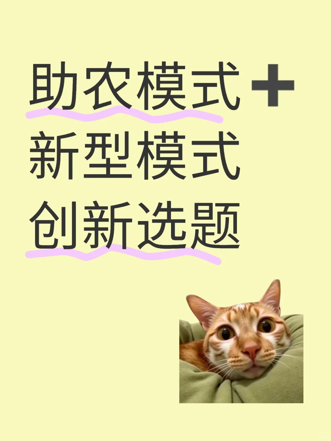 助农模式➕新型模式创新选题