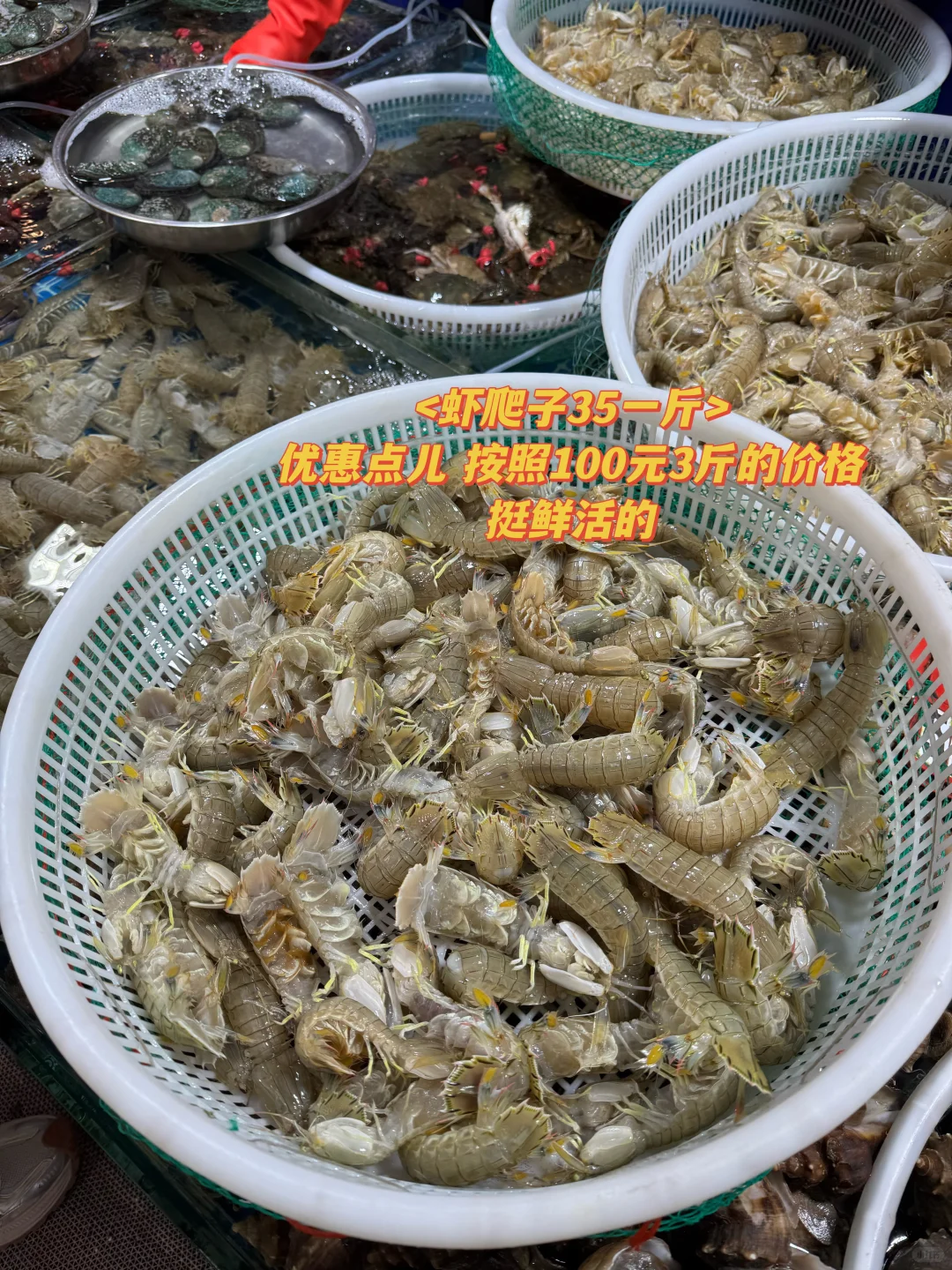 内陆情侣 175元勇闯马栏市场挑选&加工海鲜