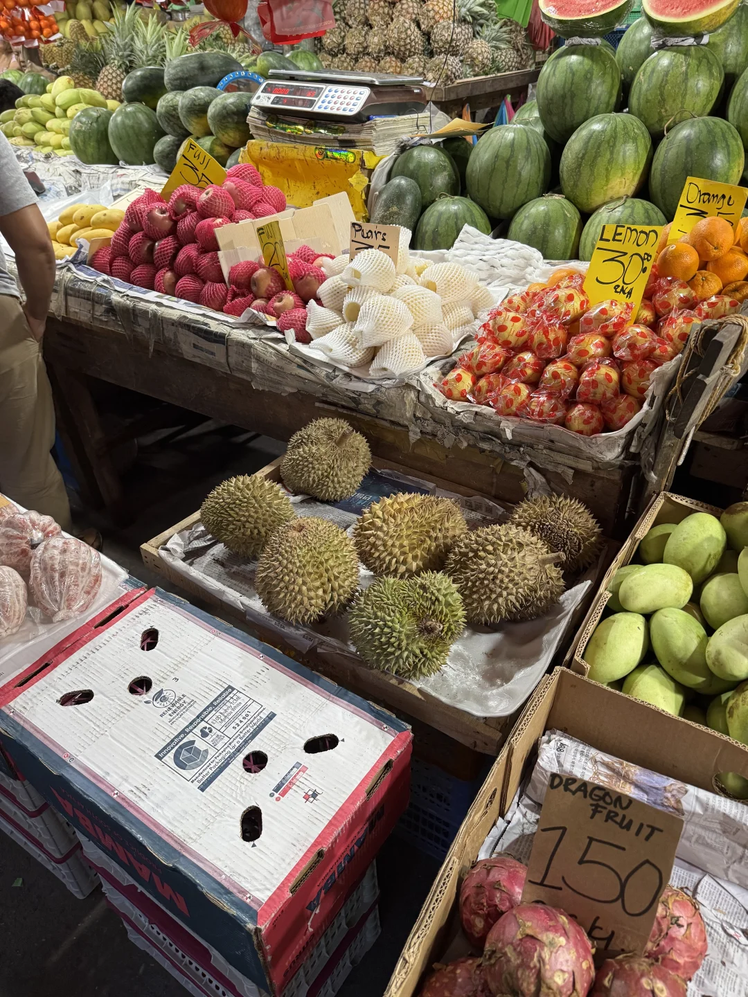 菲律宾薄荷岛最大海鲜市场，实现海鲜自由