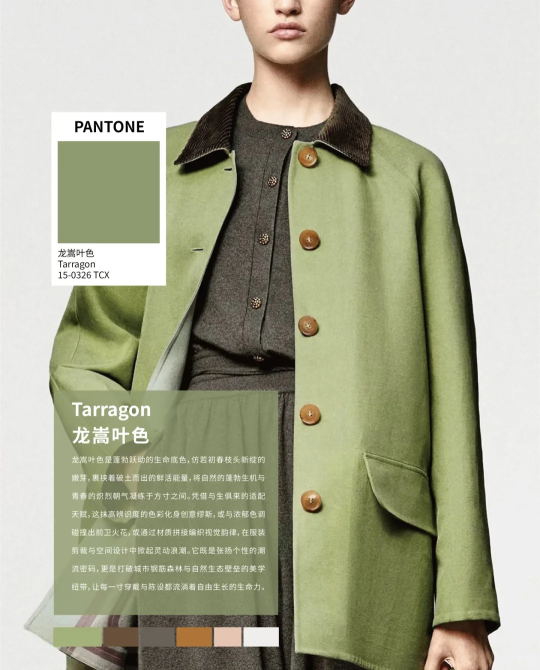 色彩趋势｜2025/2026 AW色彩流行趋势！